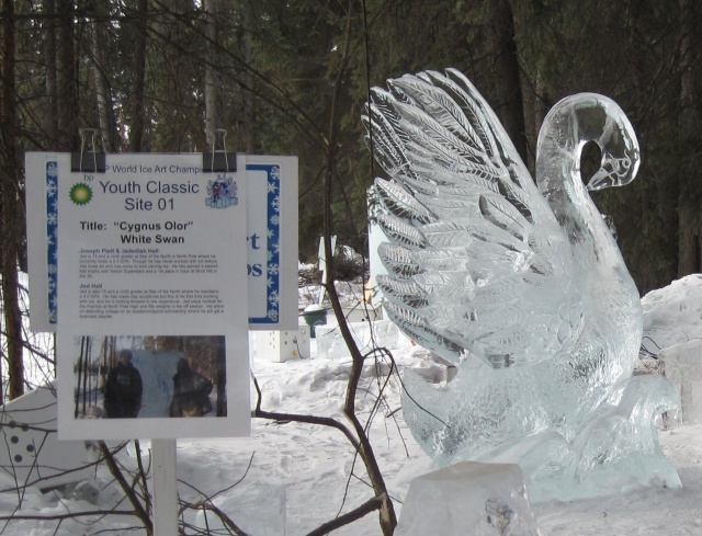 Ice sculpture
